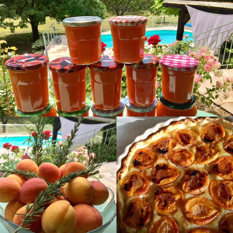 Les Feuillantines Perigord Noir Bed and Breakfast Saint-Cyprien  Εξωτερικό φωτογραφία