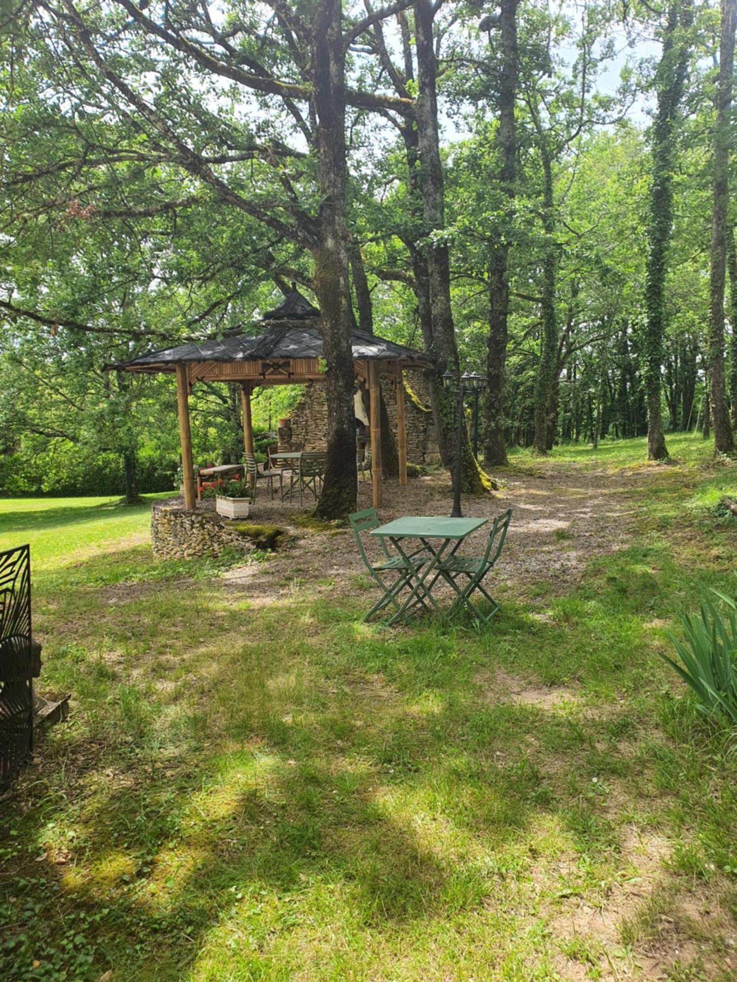Les Feuillantines Perigord Noir Bed and Breakfast Saint-Cyprien  Εξωτερικό φωτογραφία