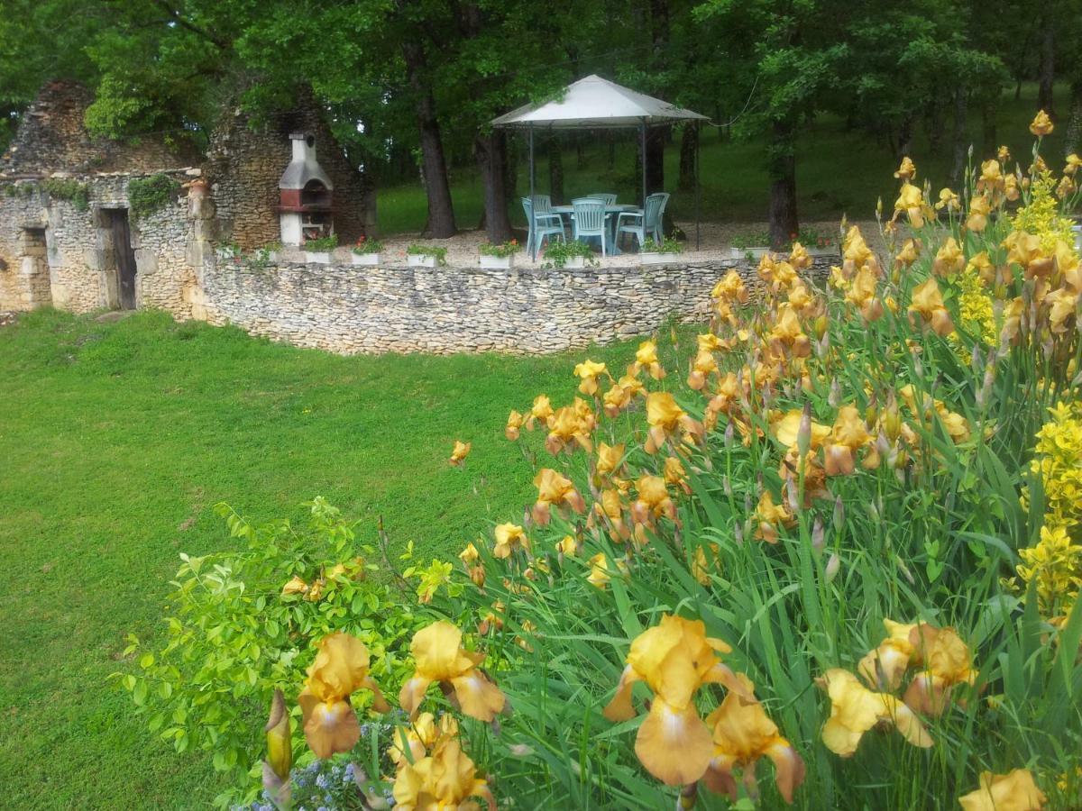 Les Feuillantines Perigord Noir Bed and Breakfast Saint-Cyprien  Εξωτερικό φωτογραφία