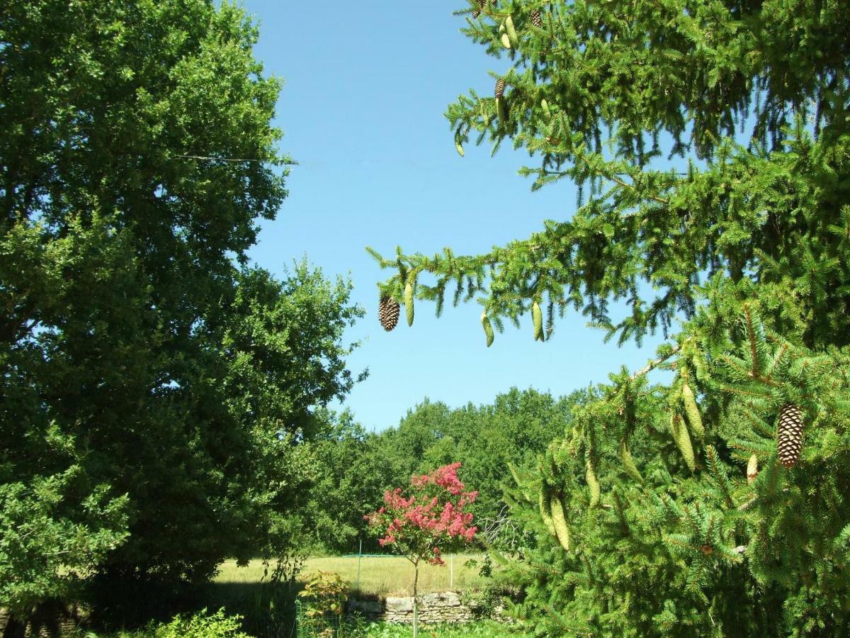 Les Feuillantines Perigord Noir Bed and Breakfast Saint-Cyprien  Εξωτερικό φωτογραφία
