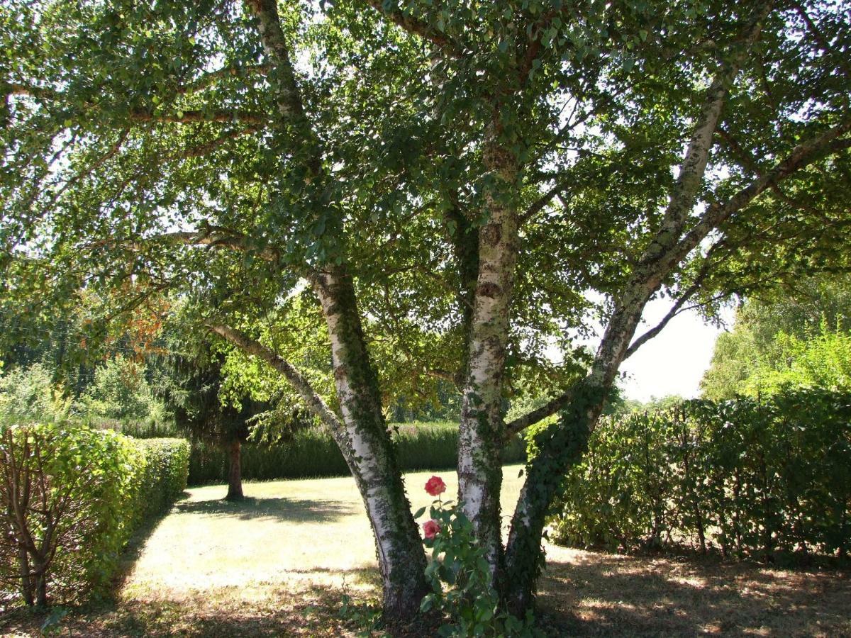 Les Feuillantines Perigord Noir Bed and Breakfast Saint-Cyprien  Εξωτερικό φωτογραφία