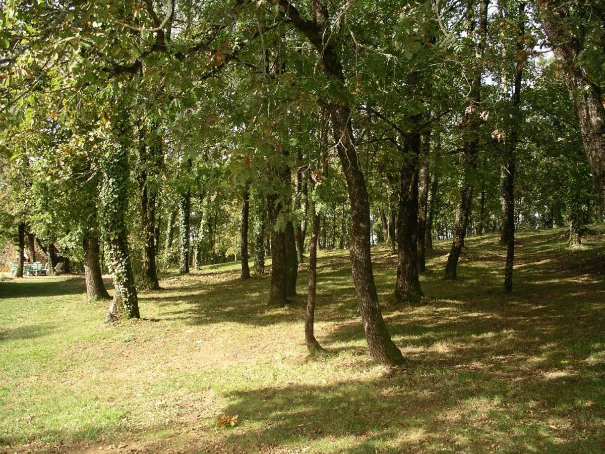 Les Feuillantines Perigord Noir Bed and Breakfast Saint-Cyprien  Εξωτερικό φωτογραφία